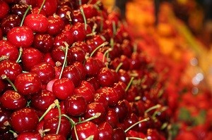 Через заморозки Украина может потерять треть урожая абрикос и черешен — Адаменко