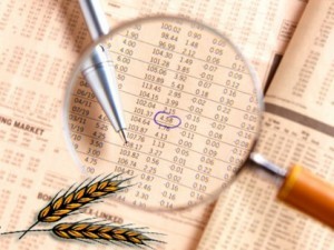 Объем сельхозпроизводства в I квартале 2014 г. вырос на 6% — Госстат