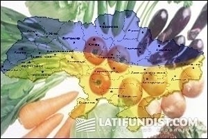 Продукты питания подорожали на 3,6% — Минагропрод