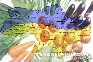 Девальвация гривни повлияла на конкурентоспособность импортных овощей