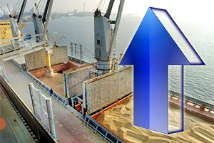 Доля переработки зерновых в морских портах составила почти 26%