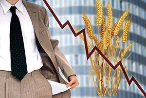 Отменять льготы нужно плавно и продуманно — Кожемяко