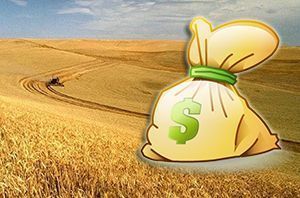 Украина не может конкурировать с ЕС в плане господдержки — Кучер