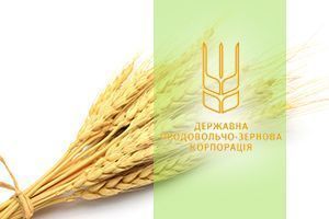 В ГПЗКУ появился Совет директоров