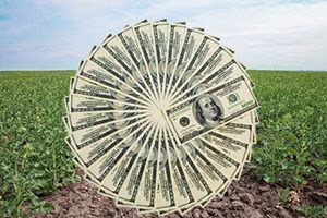 Укргосфонд переформируют в платежное агенство