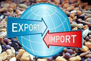 Астарта экспортировала сельхозпродукции на $120 млн